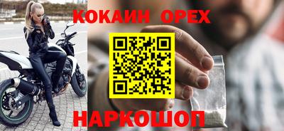 крисы Пенза