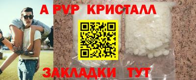 крисы Пенза