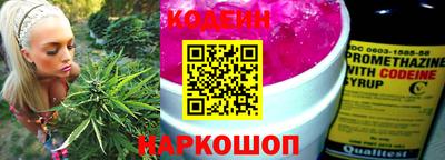 крисы Пенза