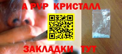 крисы Пенза