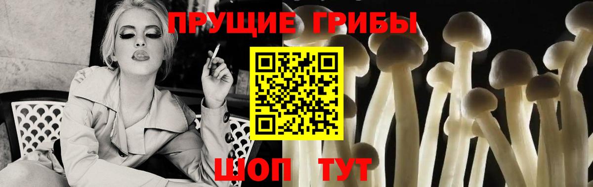 Новодвинск  Галлюциногенные грибы прущие грибы  Вход с VPN 